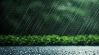 Northeast Monsoon Beauty Needs Safety Filters