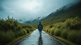 Cloud Walks Are The Coolest Rainy Day Adventure