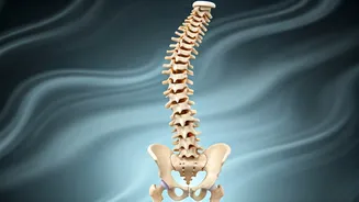 Unveiling the Back Pain Mystery: Posture & Stress
