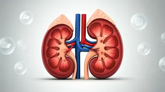 8 Simple Secrets to Supercharge Your Kidneys for World Kidney Day 2026
