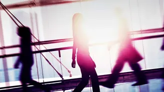 How Brisk Walking Fits Into Zone-2 Cardiovascular Training For Busy Desk Workers