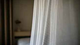 Dengue Defense: A 6-Step Guide to Prevention