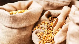 India's Pulse Import Plan Could Affect Consumers And Farmers Differently