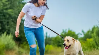 Monsoon Moisture Can Raise Health Risks For Pets During Outdoor Walks