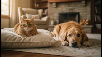 New Pet Study Suggests Dogs And Cats Shape Stress Levels Differently