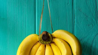 Paper Bags Trap Ethylene and Help Bananas Ripen Naturally
