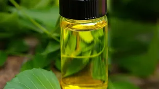 Natural Pest Control Solutions Diluted Neem Oil And Soapy Water Keep Home Greenery Healthy