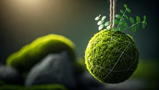Try Therapeutic DIY Hanging Kokedama Moss Balls This Saturday