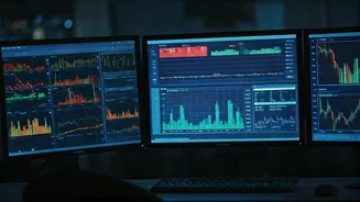 IPO Buzz: Market Updates and Investor Insights