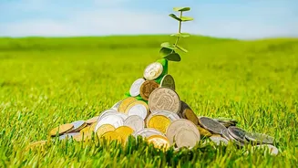 How Diversifying Across Sectors Helps Beginner Index Fund Investors Avoid Big Losses