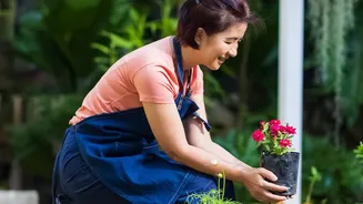 What The Latest August Gardening Advice Means For Climate-Suitable Plants