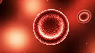 Related Stories banner