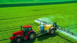 Inside Punjab Crop Diversification: Pest Risk, Price Certainty, Seed Subsidies and Procurement Economics