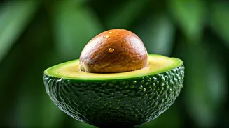 Health & Fitness Guide: Stay Active, Stay Healthy!