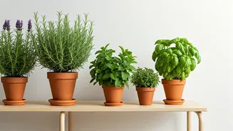 8 Natural Allies: Houseplants That Guard Your Home Against Pests