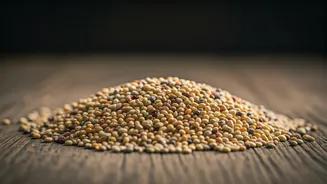 Millet Meals Are Here To Stay