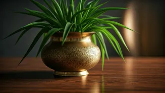 Turn Antique Indian Brass Pots Into Elegant Indoors Foliage Holder