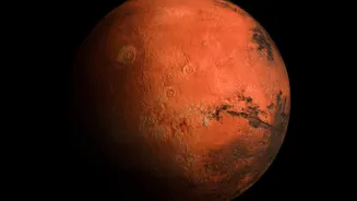 We might use yeast to build shelters on Mars