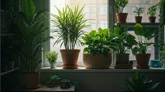 Beautiful And Lush: Animal Safe Plants For Urban Apartments
