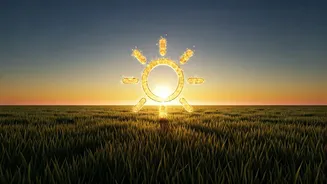 Millions Join Virtual Sun Salutation Marathons This Coming Sunday