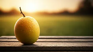 Lucknow Aims For World Mango Capital Title This Summer