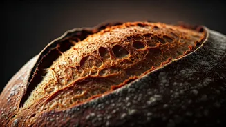 Sourdough Secrets: Unlocking Gut Health and Superior Nutrition Beyond the Crust