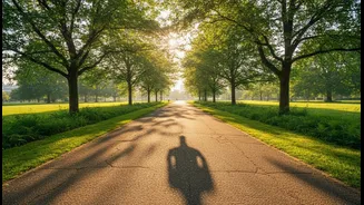 The Post-Meal Walk Fits Fitness Into Existing Daily Anchors