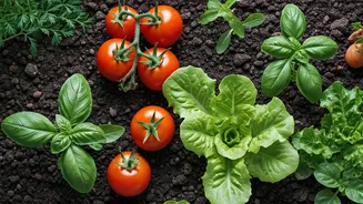 Beginner Gardeners Swear By These Easy Crops