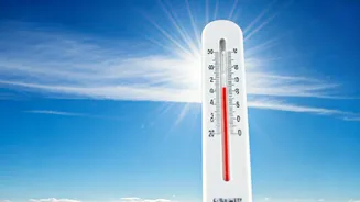 Ahmedabad's Mild Winter: Temperatures Rise