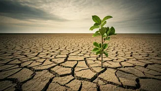 India’s Below-Normal Monsoon Forecasted For First Time Since 2023