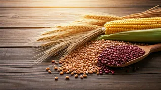 Baisakhi 2026: Spreading Joy with Wishes, Quotes, and Greetings for the Harvest Festival