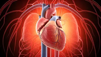 9 Natural Ways to Lower Blood Pressure: A Doctor's Guide