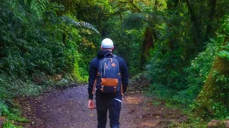 Protect Your Electronics While Backpacking Across Wet Western Ghats Trails