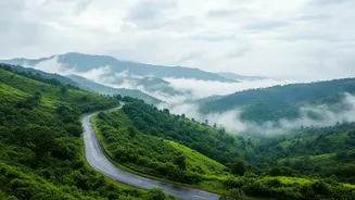 Budget-Friendly Monsoon Routes From Mumbai Ideal For Short Breaks