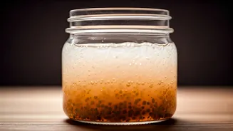 Fermented Rice Water Probiotics Give Your Gut Major Healing