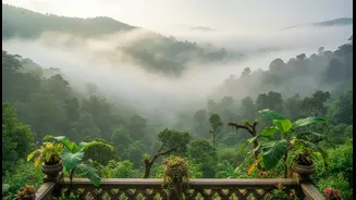 Western Ghats Resorts Are Seeing Demand From Travellers Chasing Clouds