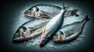 Pilihan Terbaik: 5 Ikan Wajib Coba untuk Penggemar Seafood!