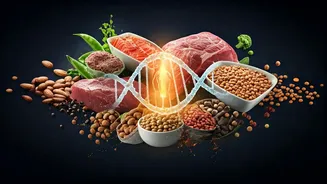 India's Protein Revolution: A New Era of Conscious Eating