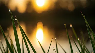 Master Your Mornings: 7 Powerful Affirmations for a Victorious Day