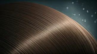 The Humidity Hack Your Hair Didn't See Coming