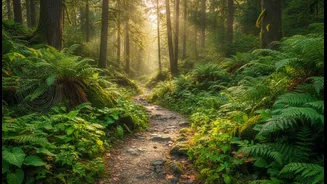 A Short Green Walk Could Feel Different from the Same Treadmill Session