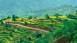 Rain Brings Northeast India's Natural Beauty To Life