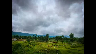 How Monsoon Impacts Vegetable Prices in India