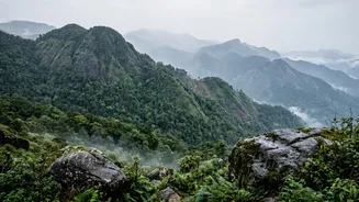 Kerala Ecological Audit: Identifying Critical Risks To Indigenous Wildlife In Mountain Belts