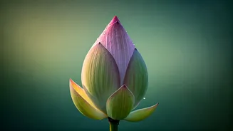 Unlock Calm: Buddhist Meditation Techniques for a Stress-Free, Clear Mind