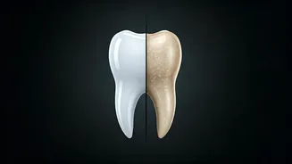 Dental Disparity: How Teeth Expose the Widening Socioeconomic Divide