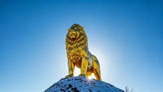 Leo's Week: Embrace Courage, Find Joy (Nov 2-8, 2025)