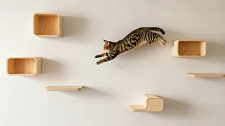 Install Vertical Wooden Steps On Bare Apartment Walls Cats