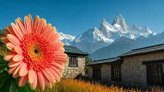 Shimla Is Calling With Five Festive June Days