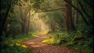 Nature May Change How a Familiar Workout Feels Afterwards